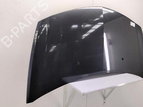 Hood RENAULT CLIO III (BR0/1, CR0/1) 1.5 dCi (C/BR0G, C/BR1G) | BP22856491C1 
