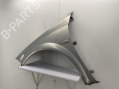 Left front fenders RENAULT MEGANE II Coupé-Cabriolet (EM0/1_) 1.9 dCi | BP22858585C41 