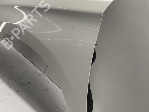 Left front fenders CITROËN C4 II (NC_) 1.6 HDi 90 | BP29375471C41 