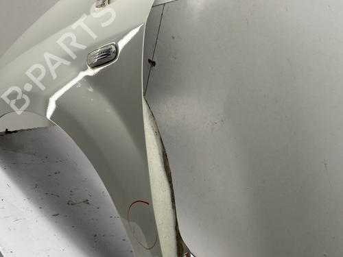 Left front fenders FIAT PUNTO EVO (199_) 1.3 D Multijet (199AXC1A, 199BXC1A, 199AXT1A, 199BXT1A) | BP29375473C41 