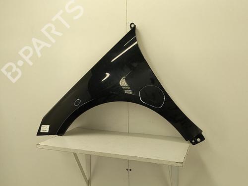 Left front fenders MERCEDES-BENZ B-CLASS Sports Tourer (W245) B 180 CDI (245.207) | BP22851967C41 