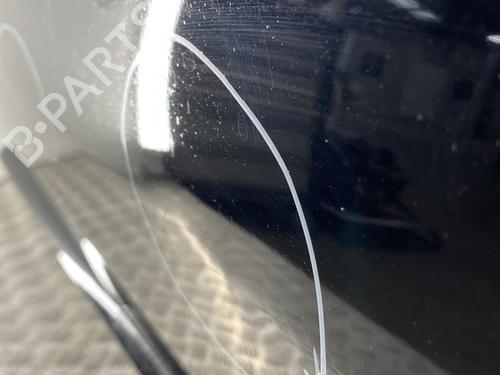 Right front door RENAULT MEGANE II (BM0/1_, CM0/1_) 2.0 dCi | BP22849936C3 