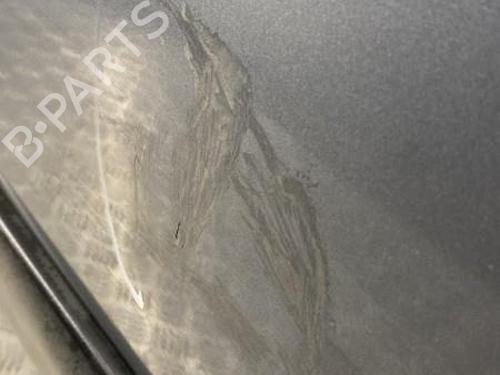 Right front door CITROËN C3 I (FC_, FN_) 1.4 i | BP22849466C3 
