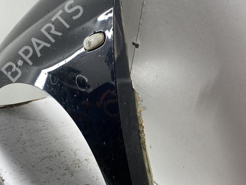 Left front fenders FIAT BRAVO II (198_) 1.6 D Multijet (198AXL1B) | BP32080403C41