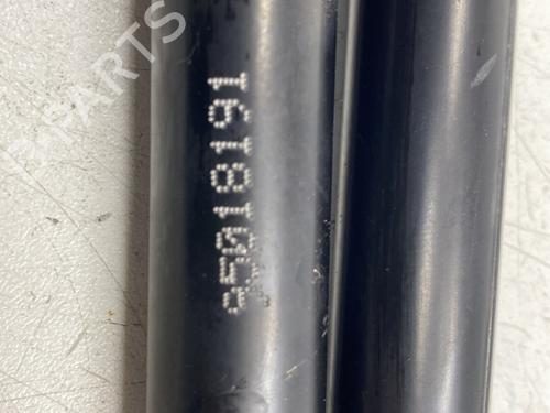 Used Tailgate lift support Tailgate lift support VW POLO V (6R1, 6C1) 1.6 TDI (90 hp) 22859979 22859979