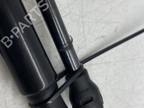 Tailgate lift support RENAULT CLIO V (B7_) 1.0 TCe 100 (B7MT) | BP33475862C138 - Image 2