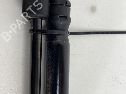 Tailgate lift support CITROËN DS4 (NX_) 1.6 HDi 110 | BP29529031C138 