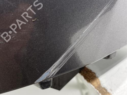 Used Left front fenders RENAULT SCÉNIC III (JZ0/1_) 1.5 dCi (106 hp) 22851791