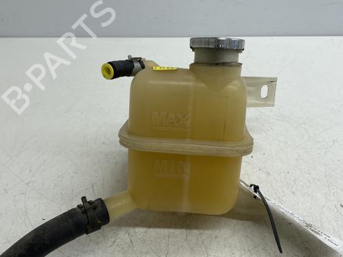 Used Expansion tank RENAULT KOLEOS I (HY_) 2.0 dCi 4x4 (HY0K) (150 hp) 27819082