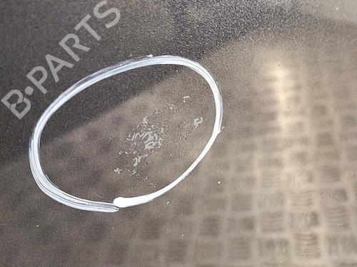 Hood RENAULT LAGUNA III (BT0/1) 1.5 dCi (BT00, BT0A, BT0T, BT1J) | BP22854357C1 