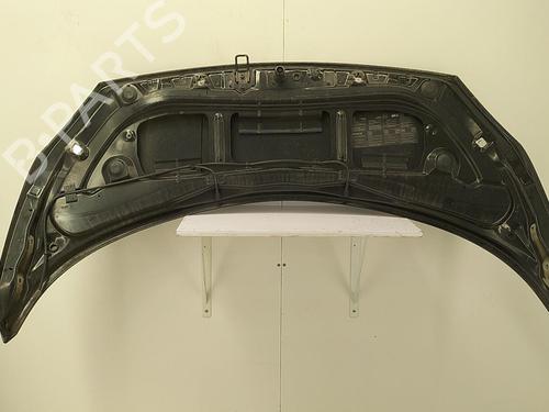 Hood RENAULT SCÉNIC II (JM0/1_) 1.6 (JM0C, JM0J, JM1B) | BP22856495C1 