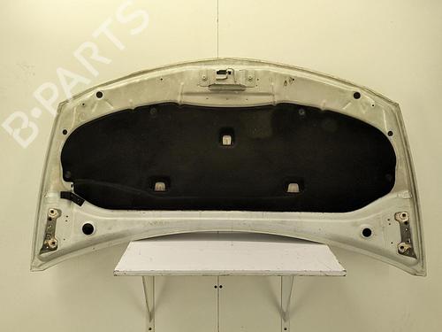 Hood RENAULT CLIO III (BR0/1, CR0/1) 1.5 dCi (C/BR0G, C/BR1G) | BP22855575C1 