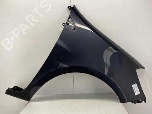 Right front fenders RENAULT CLIO III (BR0/1, CR0/1) 1.5 dCi (BR17, CR17) | BP22856671C42 