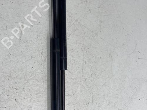 Used Tailgate lift support RENAULT MEGANE II (BM0/1_, CM0/1_) 2.0 dCi (173 hp) 24979943