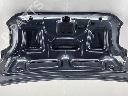 Tailgate DACIA LOGAN II TCe 90 (L8MA, L8M1, L8AC) | BP32204385C6 