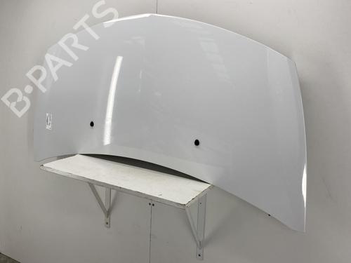 Hood RENAULT CLIO III (BR0/1, CR0/1) 1.5 dCi (C/BR0G, C/BR1G) | BP22852103C1 