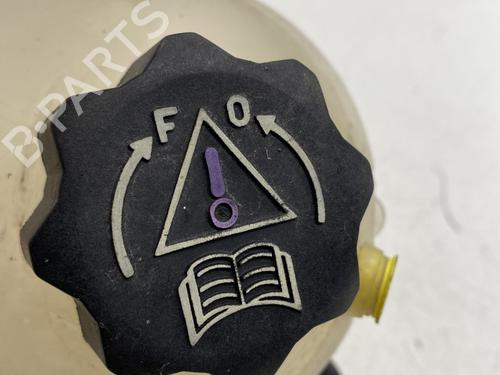 Expansion tank CITROËN C4 Picasso I MPV (UD_) 2.0 HDi 138 | BP29299423C120