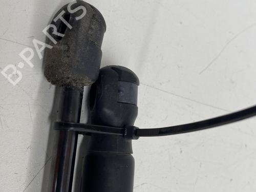 Tailgate lift support VW PASSAT B7 Variant (365) 1.6 TDI | BP30174500C138 
