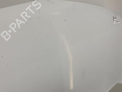 Hood RENAULT KANGOO Express (FW0/1_) 1.5 dCi 85 (FW0K, FW0L, FW0B) | BP22852581C1 