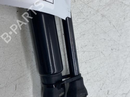 Tailgate lift support RENAULT CLIO V (B7_) 1.5 Blue dCi 85 (B7AG) | BP29968833C138