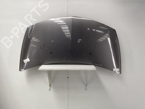 Used Hood RENAULT CLIO III (BR0/1, CR0/1) 1.2 16V (BR0P, CR0P) (101 hp) 22855156