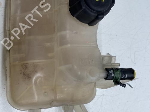 Used Expansion tank RENAULT GRAND SCÉNIC III (JZ0/1_) 1.6 dCi (JZ00, JZ12) (130 hp) 22859949