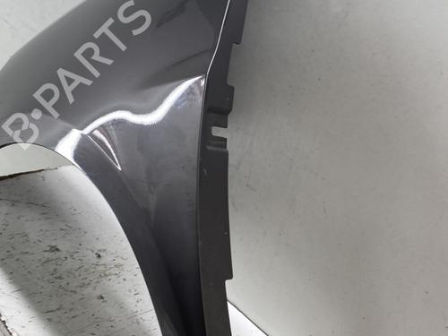 Forskærm venstre Forskærm venstre RENAULT CLIO III (BR0/1, CR0/1) [2005-2014] 34149262 34149262