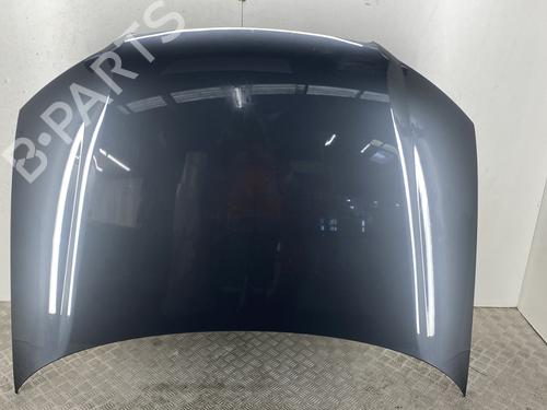 hood-audi-a3-8p1-2003-2004-2005-2006-2007-2008-2009-2010-2011-2012-2013-31610887 main image