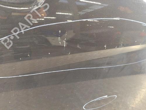 Right front door SEAT ALTEA XL (5P5, 5P8) 1.9 TDI | BP22852383C3 