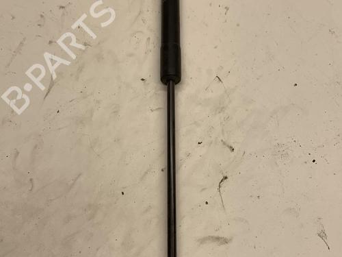 Used Hood lift support DACIA SANDERO II TCe 90 (B8M1, B8MA, B8AC) (90 hp) 22857576