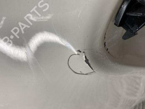 Tailgate FIAT 500 (312_) 0.9 (312AXG1A, 312.AXG11) | BP22851515C6