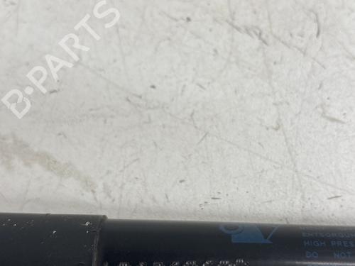 Hood lift support RENAULT SCÉNIC IV (J9_) 1.2 TCe 115 | BP26683738C139 