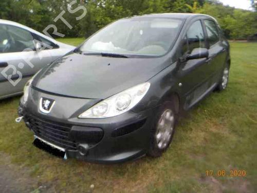 Hood PEUGEOT 307 (3A/C) 1.6 HDi | BP22857782C1 