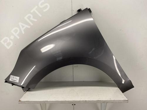 Left front fenders RENAULT SCÉNIC III (JZ0/1_) 1.5 dCi | BP22851791C41 