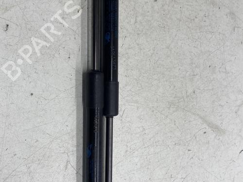 Gassdemper Bakluke RENAULT TWINGO II (CN0_) 1.2 16V (CN04, CN0B) (75 hp) 29528993
