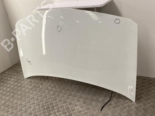 Hood RENAULT MEGANE II (BM0/1_, CM0/1_) 1.9 dCi (BM0G, CM0G) | BP22858523C1