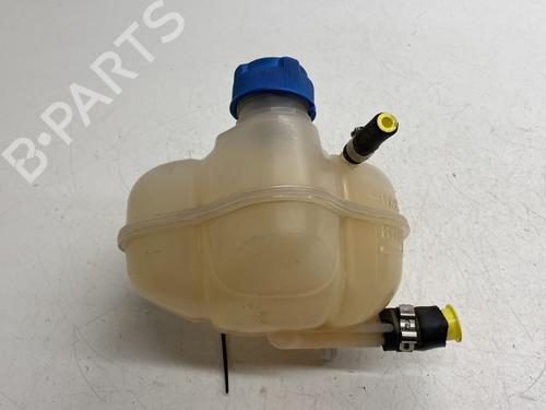 Expansion tank FIAT GRANDE PUNTO (199_) 1.3 D Multijet | BP28015753C120 