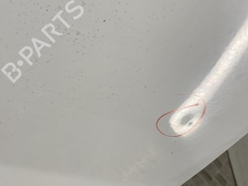Left front door CITROËN JUMPY II Van 1.6 HDi 90 8V | BP29604984C2