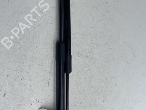 Used Tailgate lift support RENAULT CLIO V (B7_) 1.5 Blue dCi 85 (B7AG) (86 hp) 29968833