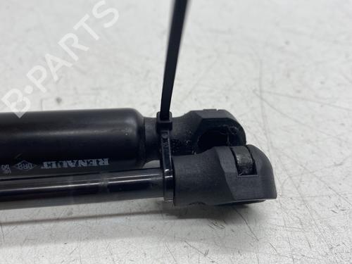 Hood lift support RENAULT CAPTUR I (J5_, H5_) 1.5 dCi 90 (J5N4, J5M5, J5MW, J5M6, J5AL, J5AJ) | BP28138739C139 