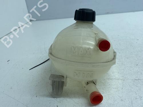 Expansion tank RENAULT CLIO V (B7_) 1.5 Blue dCi 85 (B7AG) | BP29968836C120