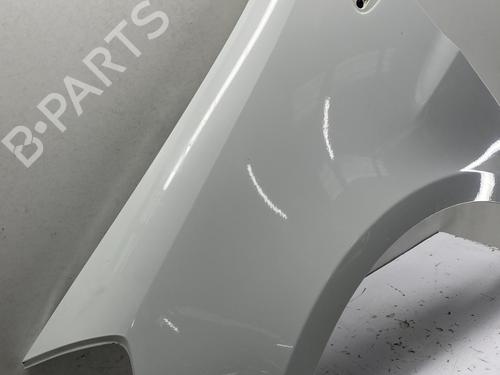 Left front fenders RENAULT CLIO III (BR0/1, CR0/1) 1.5 dCi (C/BR0G, C/BR1G) | BP29968946C41