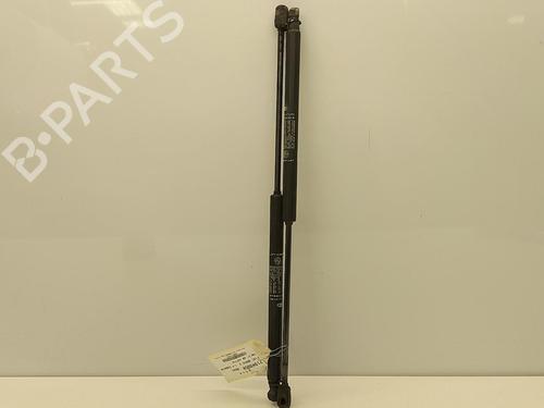 Tailgate lift support FIAT BRAVO II (198_) 1.4 (198AXA1B) | BP22851722C138 