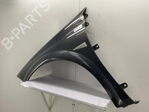 Left front fenders RENAULT MEGANE II Estate (KM0/1_) 1.5 dCi (KM1F) | BP22857001C41 