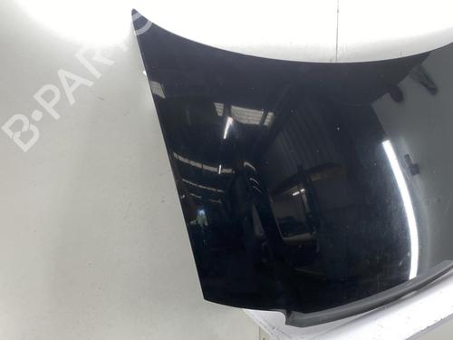 Hood FIAT PANDA (169_) 1.3 D Multijet (169.AXC1A) | BP30174553C1