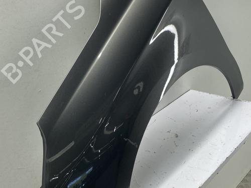 Left front fenders CITROËN C4 II (NC_) 1.6 HDi 90 | BP29299383C41 
