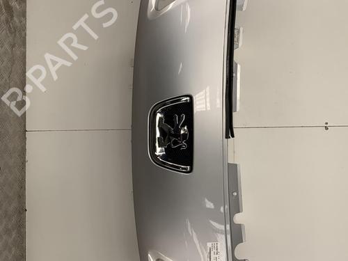 Used Grille PEUGEOT 1007 (KM_) 1.4 HDi (68 hp) 22852895