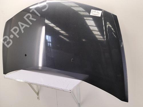 Hood RENAULT CLIO III (BR0/1, CR0/1) 1.5 dCi (C/BR0G, C/BR1G) | BP22856491C1 