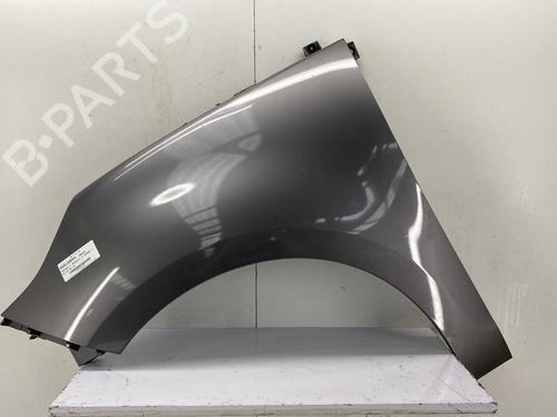 Used Left front fenders RENAULT SCÉNIC III (JZ0/1_) 1.5 dCi (110 hp) 22850581