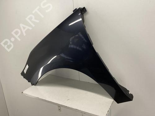 Used Left front fenders RENAULT SCÉNIC III (JZ0/1_) 1.5 dCi (110 hp) 22850117